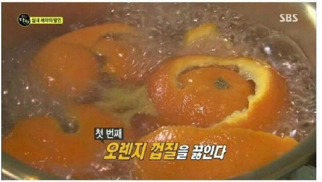 ??? : 아니 실내세차가 20만원이래. 개비싼거 아니야?? | 인스티즈