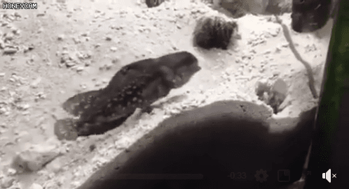 세상에서 가장 유치한 싸움 | 인스티즈