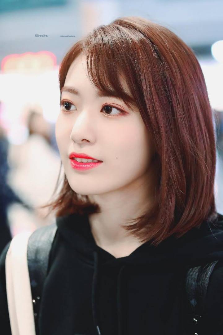 [아이즈원] 미야와키 사진 | 인스티즈