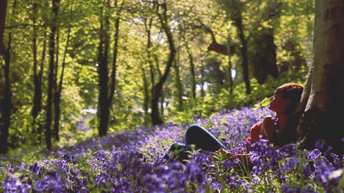  너는 하나의 레몬에서 시작되었다 | 인스티즈