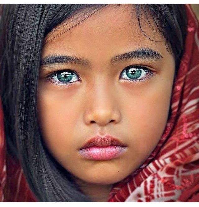 아름다운 눈을 가진 아프간 소녀.jpg | 인스티즈