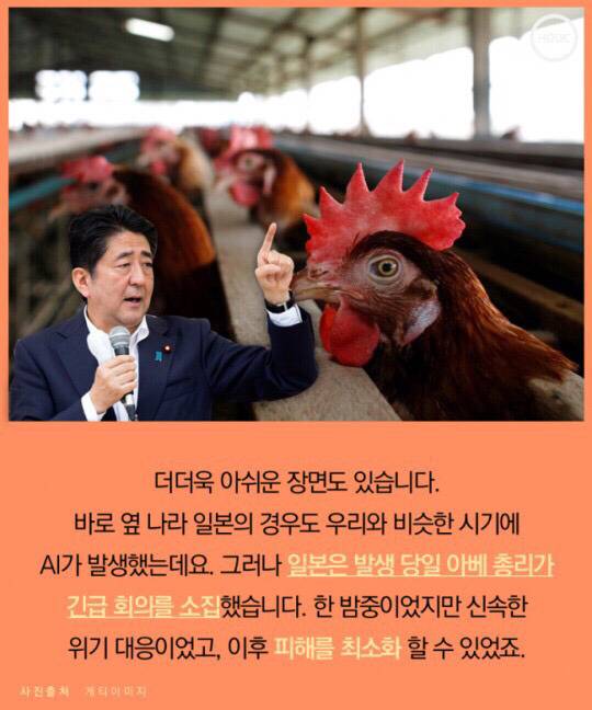 계란 하나도 마음놓고 못사먹는 나라 | 인스티즈