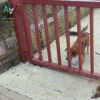 자연스럽게 응원하게 되는 짤 | 인스티즈