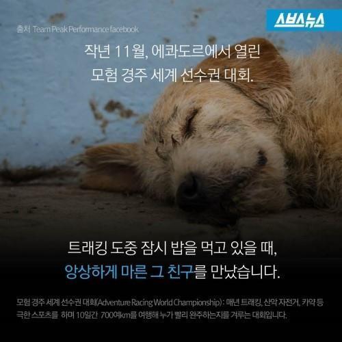 길에서 만난 친구 | 인스티즈