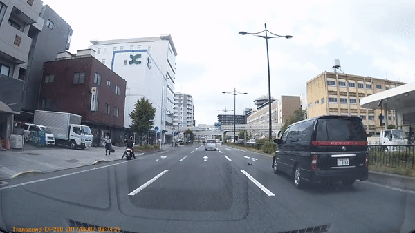 고양이 구하는 여고생 gif | 인스티즈