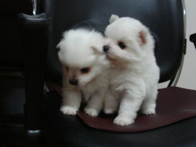 주의 건강한 심장을 가진 사람만 들어오시오 | 인스티즈