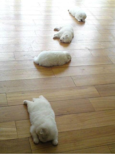 주의 건강한 심장을 가진 사람만 들어오시오 | 인스티즈