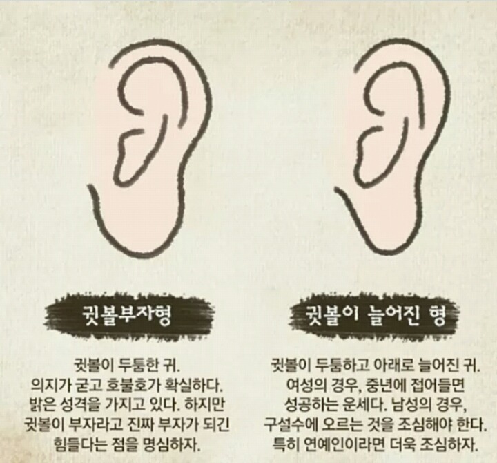 귀 모양으로 보는 성격 | 인스티즈