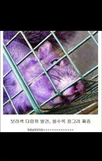 기자들 무리수모음 | 인스티즈