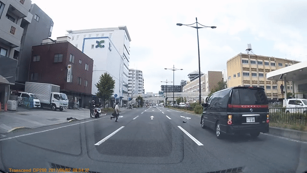 고양이 구하는 여고생 gif | 인스티즈