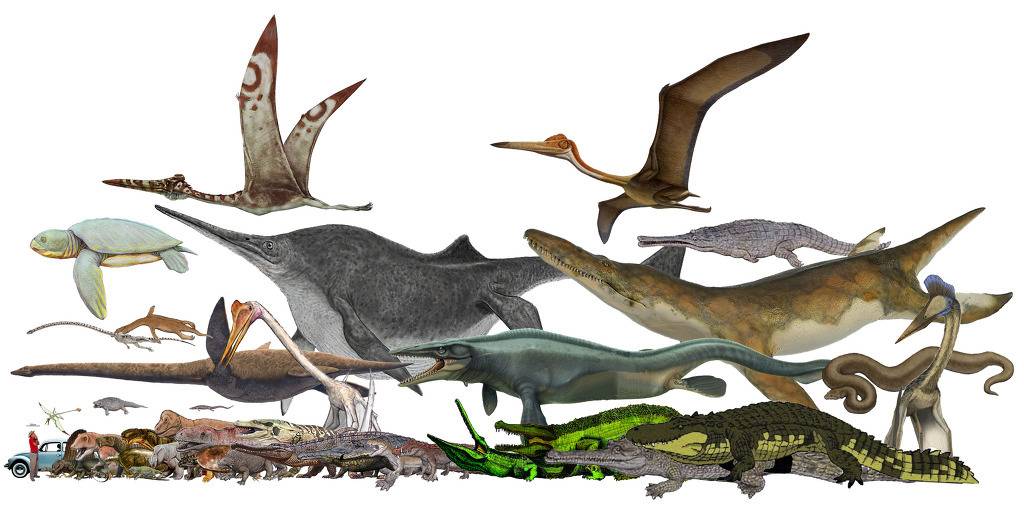 지구상 실존했던 거대 동물 vs 인간크기.jpg | 인스티즈