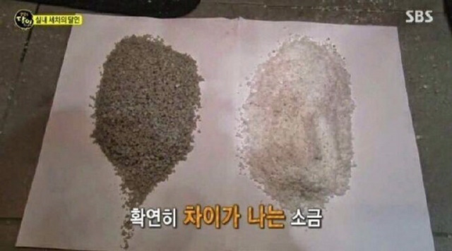 ??? : 아니 실내세차가 20만원이래. 개비싼거 아니야?? | 인스티즈