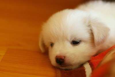 주의 건강한 심장을 가진 사람만 들어오시오 | 인스티즈