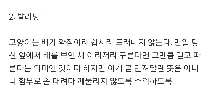 반려묘가 당신을 사랑하고 있다는 9가지 신호 | 인스티즈