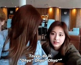 사나한테 매번 말리는 쯔위 (데이터 주의) | 인스티즈