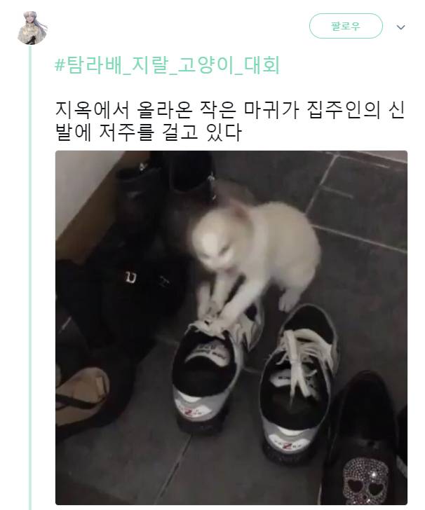 집사의 신발에 강력한 저주를 걸고 있는 주인님 | 인스티즈