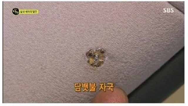 ??? : 아니 실내세차가 20만원이래. 개비싼거 아니야?? | 인스티즈