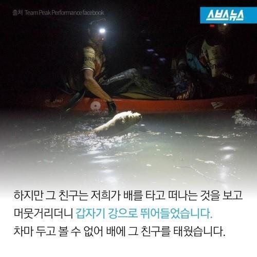 길에서 만난 친구 | 인스티즈