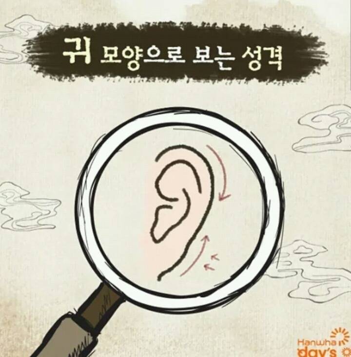 귀 모양으로 보는 성격 | 인스티즈