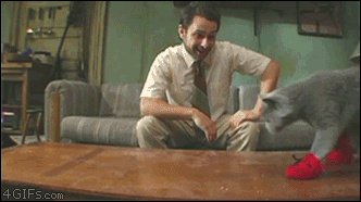 [데이터주의] 진심 무슨 생각하는지 궁금한 동물甲 - 2 | 인스티즈