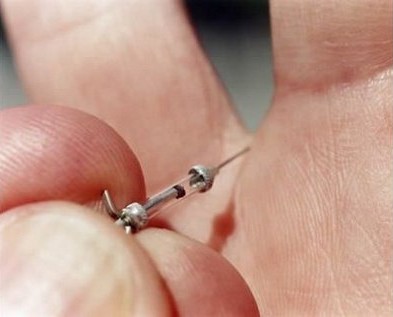 세상에서 가장 작은 것들 | 인스티즈