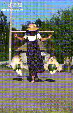 아침을 여는 댕댕이 | 인스티즈