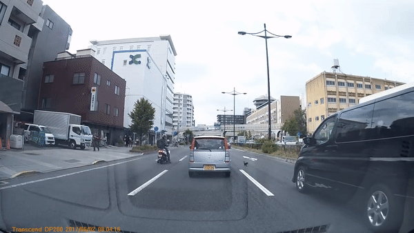 고양이 구하는 여고생 gif | 인스티즈