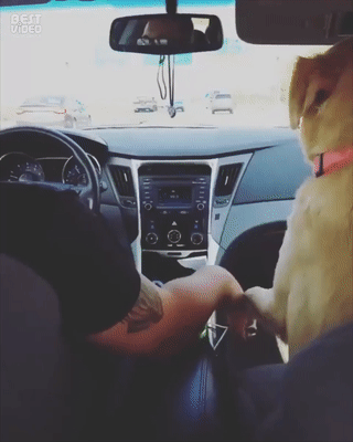 손잡고 가달란 말이야.gif | 인스티즈