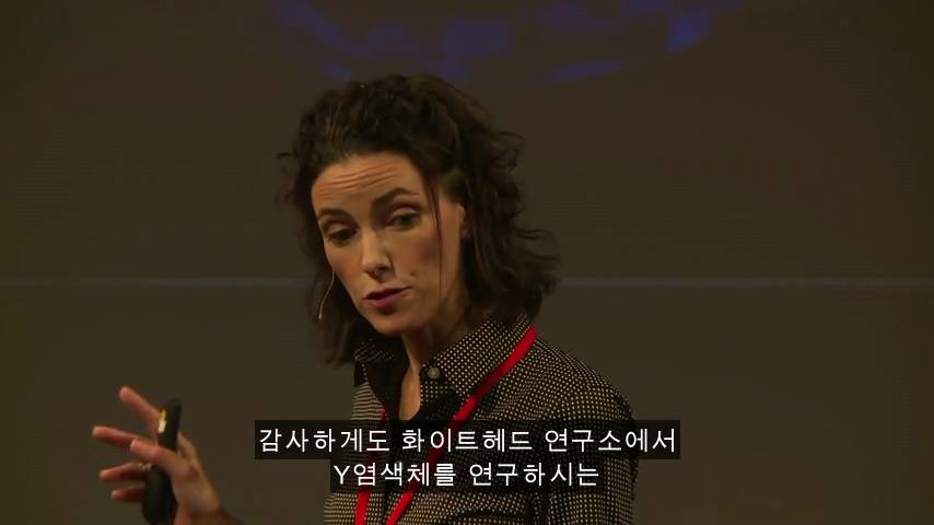 [TED] 왜 약은 종종 여성에게 위험한 부작용이 있는가 | 인스티즈