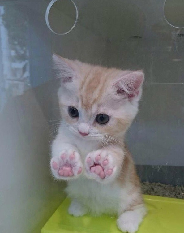 마! 만졋으면 대려가야지 어디가! | 인스티즈