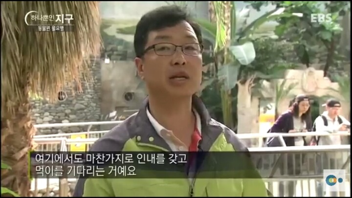 동물원 동물들이 월요병 생기는 이유 | 인스티즈