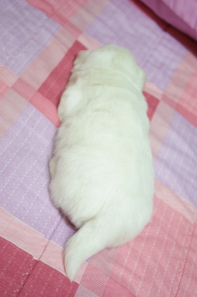 주의 건강한 심장을 가진 사람만 들어오시오 | 인스티즈