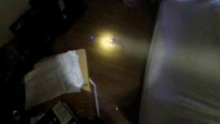 화재 현장에서 구출한 아기 고양이 | 인스티즈