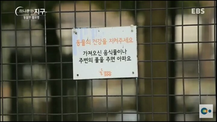 동물원 동물들이 월요병 생기는 이유 | 인스티즈
