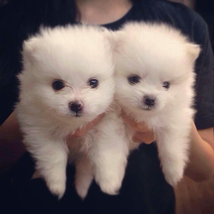 주의 건강한 심장을 가진 사람만 들어오시오 | 인스티즈