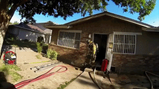 화재 현장에서 구출한 아기 고양이 | 인스티즈