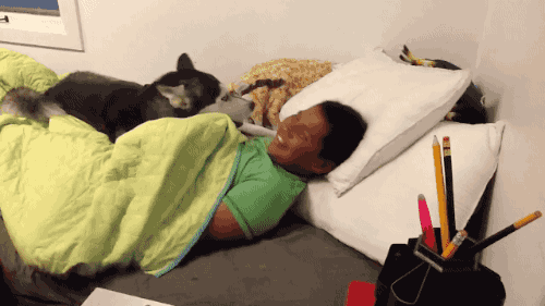 울 애긔 자야하는데 왜 그래욧!! | 인스티즈