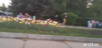 소매치기의 스킬 | 인스티즈