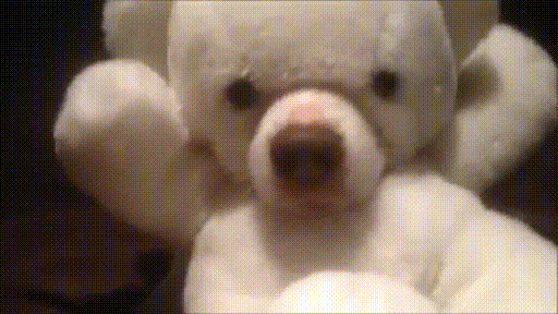 곰탱이가 살아있다 | 인스티즈