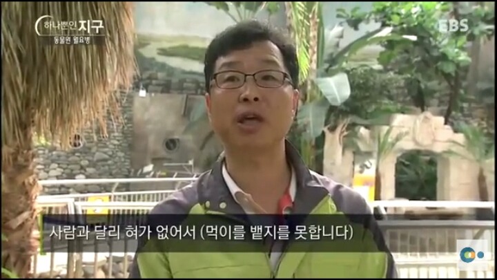 동물원 동물들이 월요병 생기는 이유 | 인스티즈