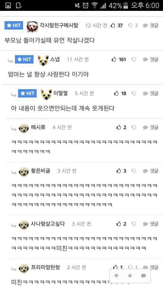 친구들이 이름보고 일베라고 놀려요.jpg | 인스티즈