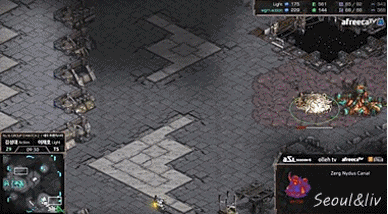 ASL(스타리그) 이재호를 당황시킨 김성대의 전략 gif | 인스티즈