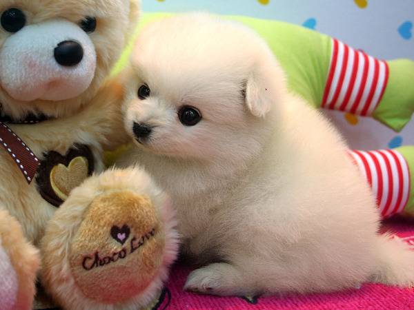 주의 건강한 심장을 가진 사람만 들어오시오 | 인스티즈