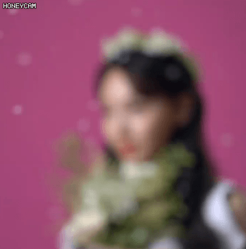 누가 나연이고 뭐가 꽃이지? | 인스티즈