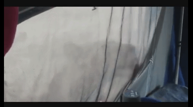 얘들아 여기안에 맛있는 냄새가 난다 | 인스티즈