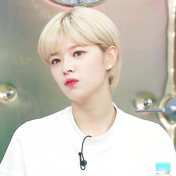 매니아층 취향저격하는 트와이스 멤버.jpg | 인스티즈