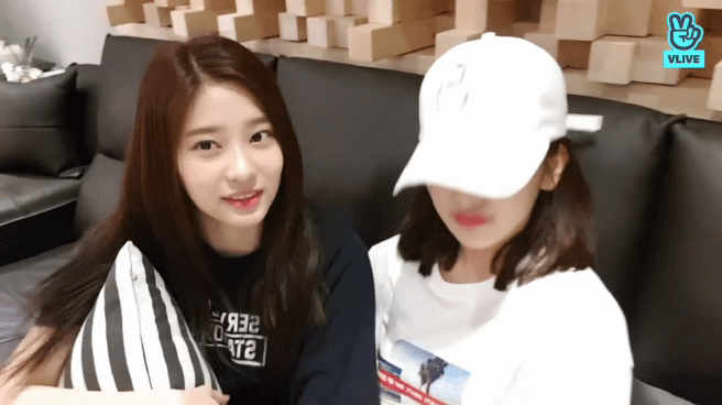 너무귀여운 아이즈원 멤버들 짤털이 | 인스티즈