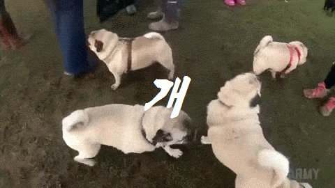 일본의 무서운 기술력 | 인스티즈