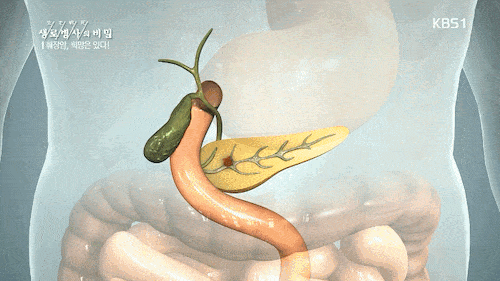 암중에 가장 무서운 암 | 인스티즈