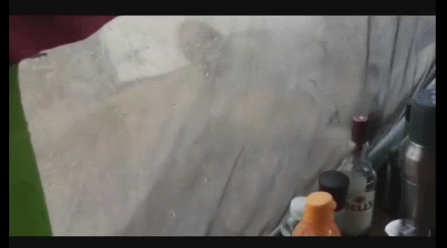 얘들아 여기안에 맛있는 냄새가 난다 | 인스티즈